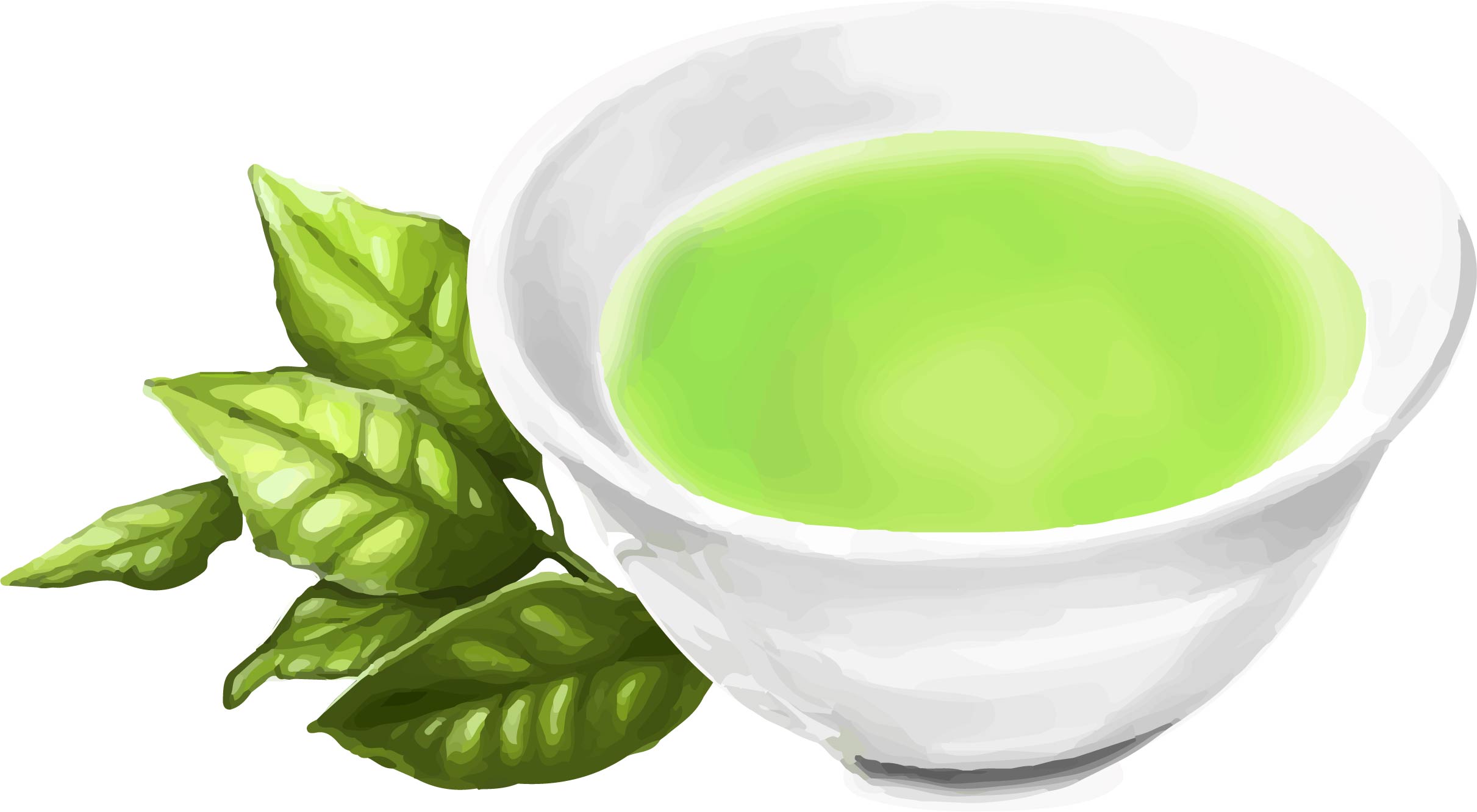認知症予防食品 緑茶